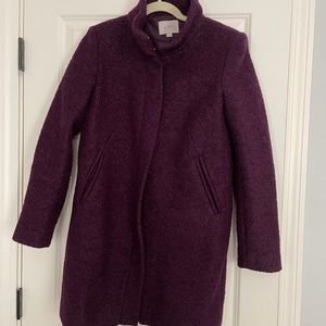 Purple winter coat-LOFT